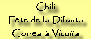 Chili : Fte de la Difunta Correa  Vicua