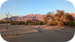 Damaraland