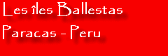 Îles Ballestas - Peru