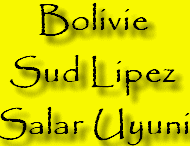 Sud Lipez et Salar d'Uyuni